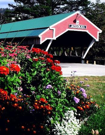 Covered Bridge River View Lodge (Adults Only) Jackson Luaran gambar