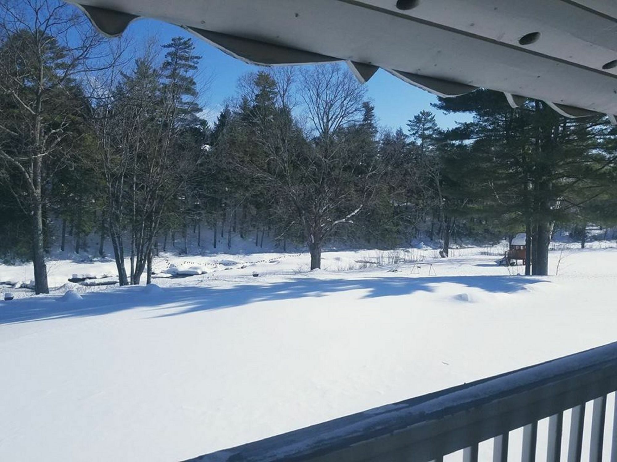 Covered Bridge River View Lodge (Adults Only) Jackson Luaran gambar